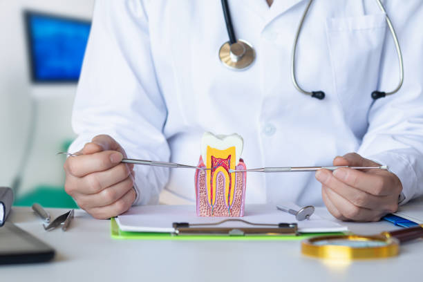 Best Emergency Dental Care for Sports Injuries in Logan Elm Village, OH